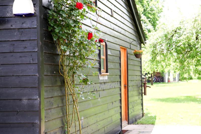 Wilderness B&B 3 Self Contained Rooms Nr Sissinghurst Headcorn Kültér fotó